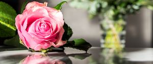 Preview wallpaper rose, flowers, petals, macro, pink