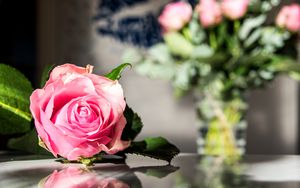 Preview wallpaper rose, flowers, petals, macro, pink
