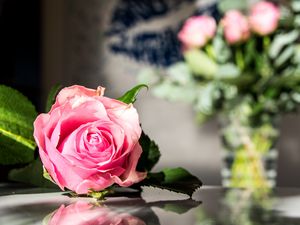 Preview wallpaper rose, flowers, petals, macro, pink
