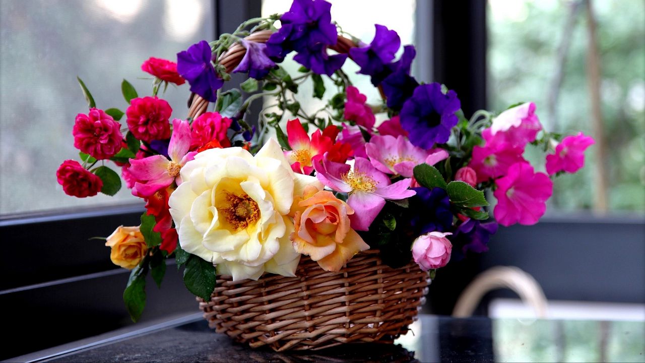 Wallpaper rose, garden, petunia, flowers, basket, composition