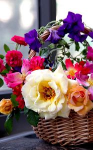 Preview wallpaper rose, garden, petunia, flowers, basket, composition