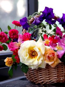 Preview wallpaper rose, garden, petunia, flowers, basket, composition