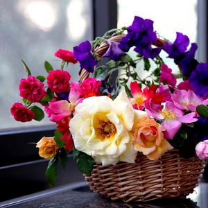 Preview wallpaper rose, garden, petunia, flowers, basket, composition