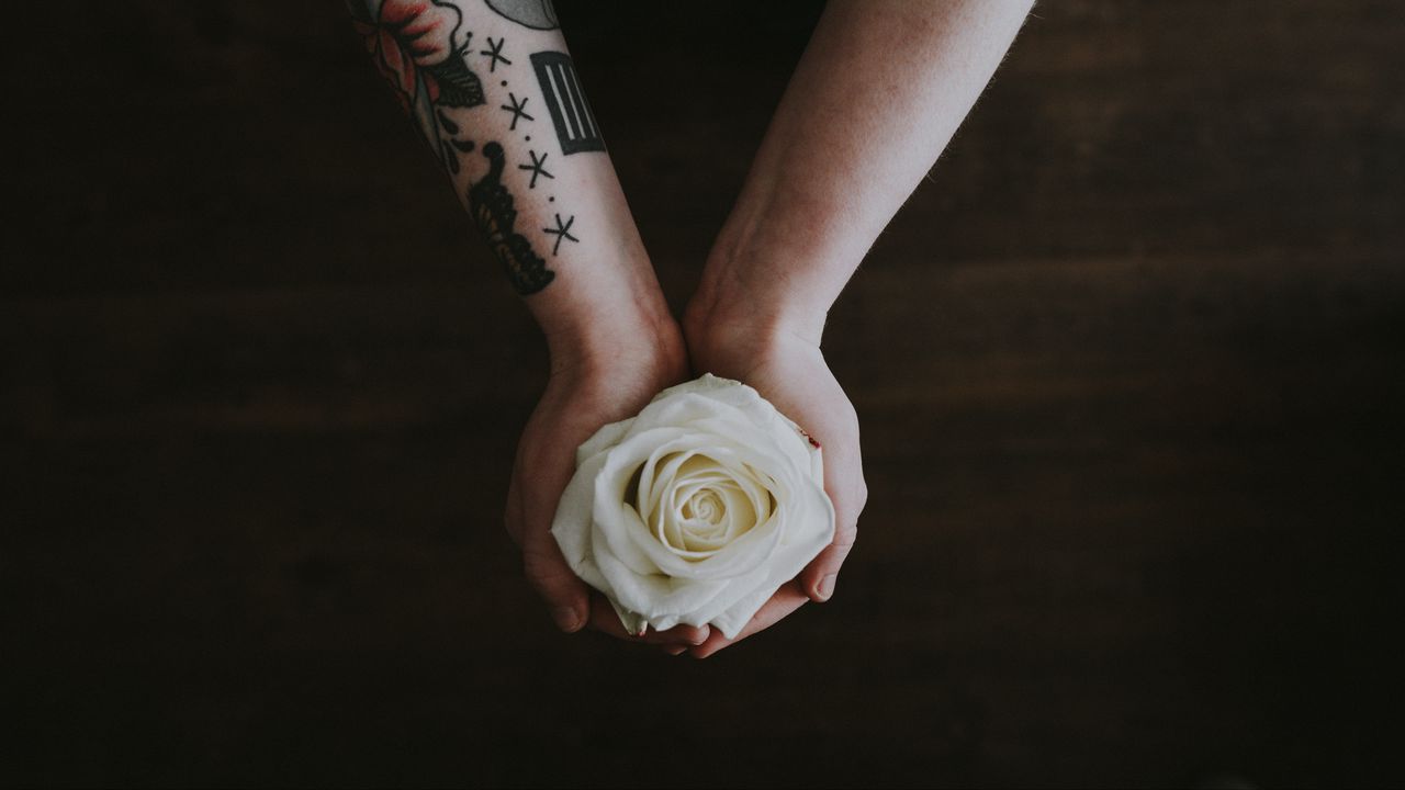 Wallpaper rose, hands, tattoo, flower, bud