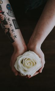 Preview wallpaper rose, hands, tattoo, flower, bud