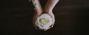 Preview wallpaper rose, hands, tattoo, flower, bud