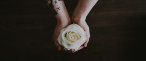 Preview wallpaper rose, hands, tattoo, flower, bud