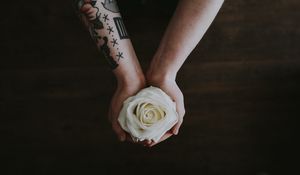 Preview wallpaper rose, hands, tattoo, flower, bud