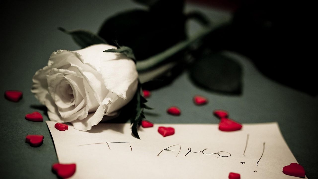 Wallpaper rose, note, hearts, romance