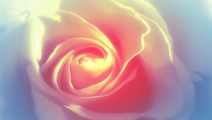 Preview wallpaper rose petals, background, bright