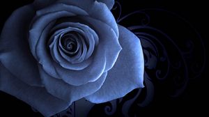 Preview wallpaper rose petals, blue, beautiful