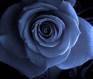 Preview wallpaper rose petals, blue, beautiful