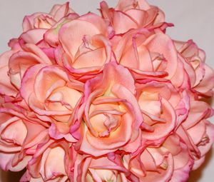 Preview wallpaper rose, petals, bouquet, glob, close-up