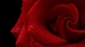 Preview wallpaper rose, petals, drops, wet, macro, red