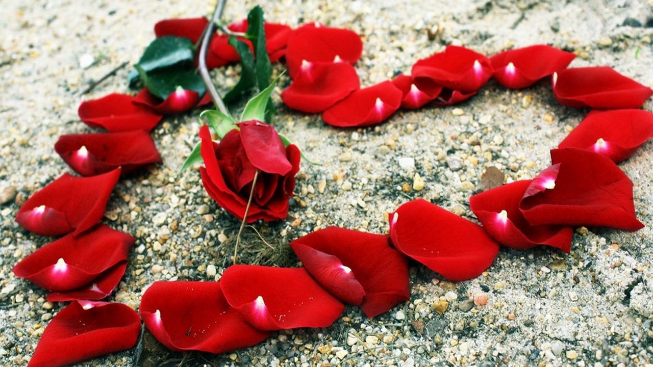 Wallpaper rose, petals, heart, stones, romance
