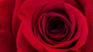 Preview wallpaper rose, petals, macro, red, dark