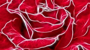 Preview wallpaper rose, petals, white, light