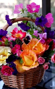 Preview wallpaper rose, petunia, pansy, flowers, composition, basket