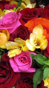 Preview wallpaper rose, ranunkulyus, freesia, bouquet, close-up