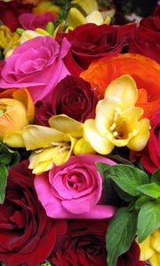 Preview wallpaper rose, ranunkulyus, freesia, bouquet, close-up