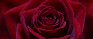 Preview wallpaper rose, red, bud, close-up