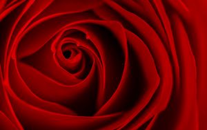 Preview wallpaper rose, red, bud, flower, macro