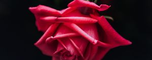 Preview wallpaper rose, red, bud, petals, dark background, bloom