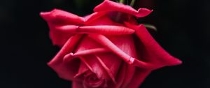 Preview wallpaper rose, red, bud, petals, dark background, bloom