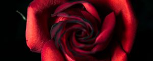 Preview wallpaper rose, red, bud, petals, closeup