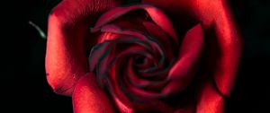 Preview wallpaper rose, red, bud, petals, closeup