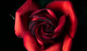 Preview wallpaper rose, red, bud, petals, closeup