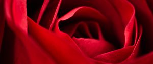 Preview wallpaper rose, red, close-up, petals, flower, macro