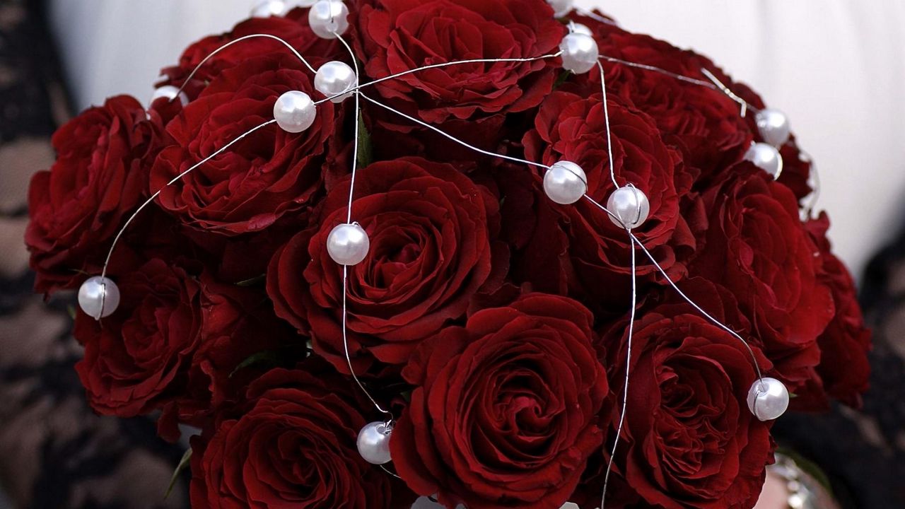 Wallpaper rose, red, flower, beads, metal