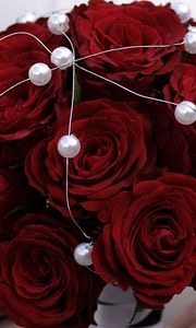 Preview wallpaper rose, red, flower, beads, metal