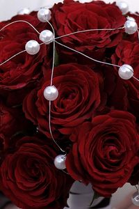 Preview wallpaper rose, red, flower, beads, metal