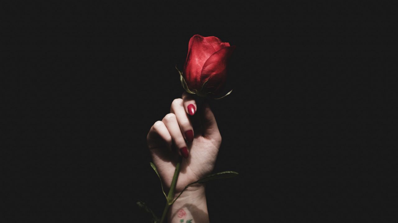 Wallpaper rose, red, hand, tattoo