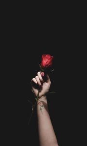 Preview wallpaper rose, red, hand, tattoo