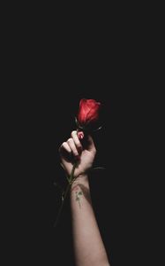 Preview wallpaper rose, red, hand, tattoo