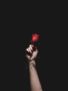 Preview wallpaper rose, red, hand, tattoo