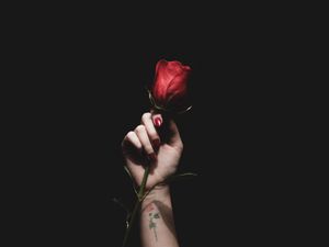 Preview wallpaper rose, red, hand, tattoo