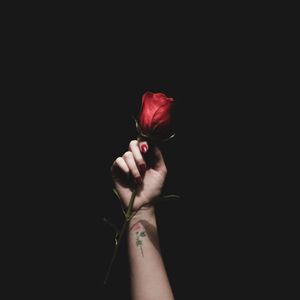 Preview wallpaper rose, red, hand, tattoo