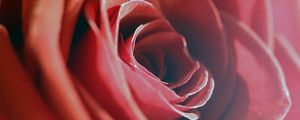 Preview wallpaper rose, red, macro, flower, petals