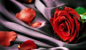 Preview wallpaper rose, red, petals, fabric, tenderness