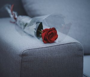 Preview wallpaper rose, sofa, furniture
