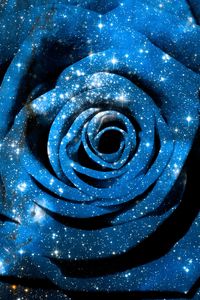 Preview wallpaper rose, space, stars, photoshop, radiance, shine