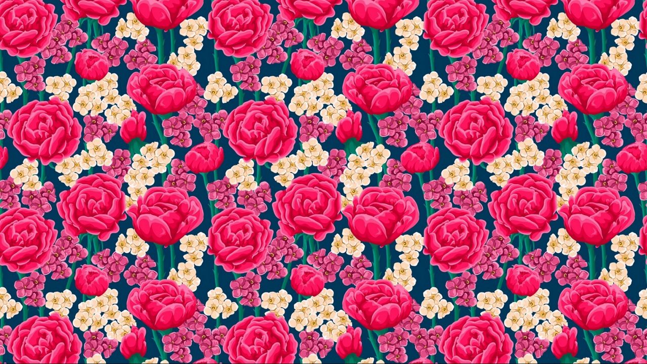 Wallpaper rose, texture, flowers