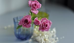 Preview wallpaper rose, vase, close-up, flowers, blur