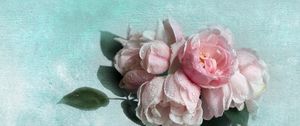 Preview wallpaper rose, vase, leaves, drops