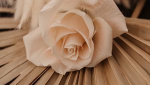 Preview wallpaper rose, white, flower, bouquet