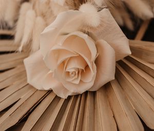 Preview wallpaper rose, white, flower, bouquet